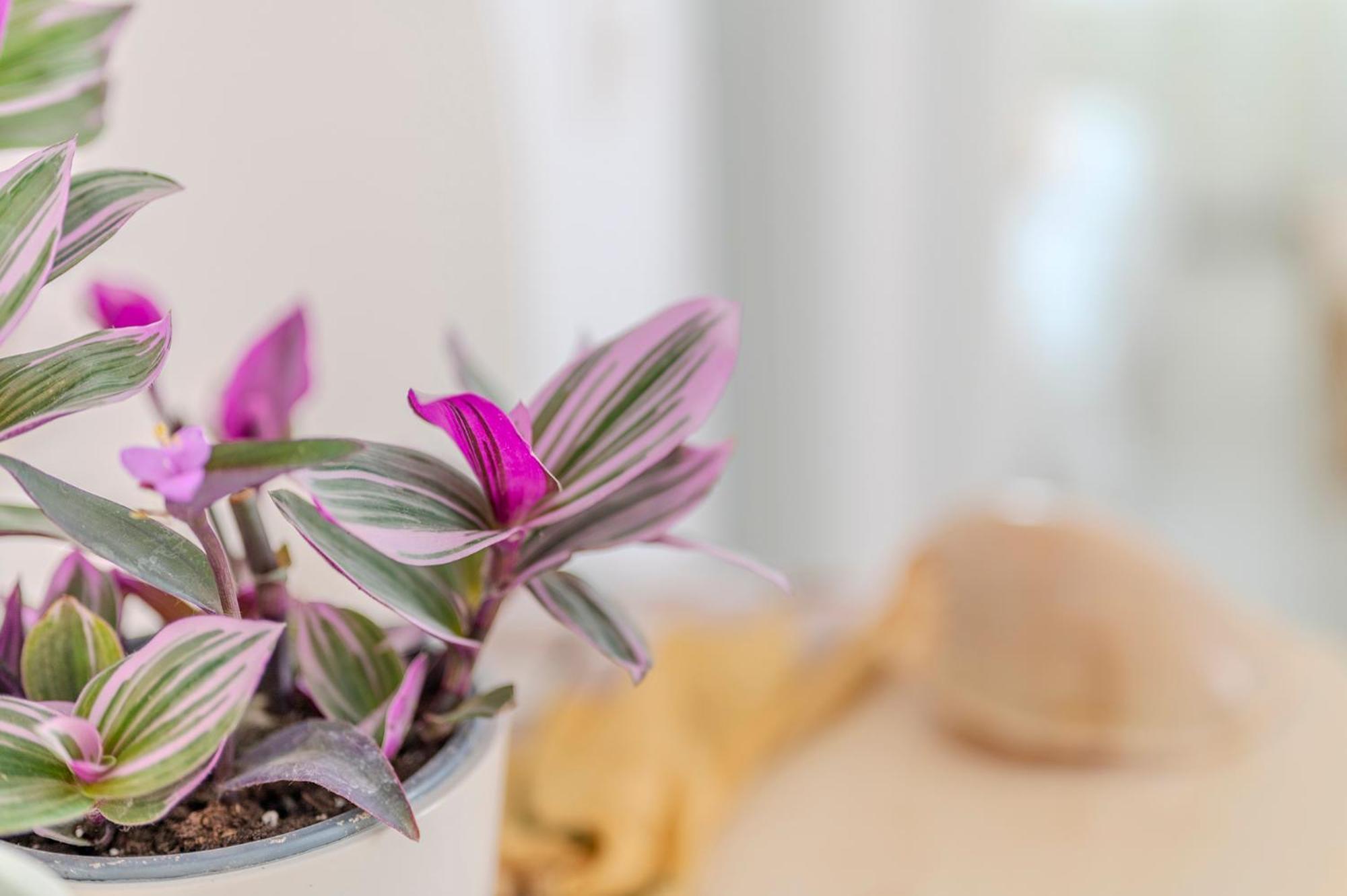 Stamatia Suites 아스프로발타 외부 사진